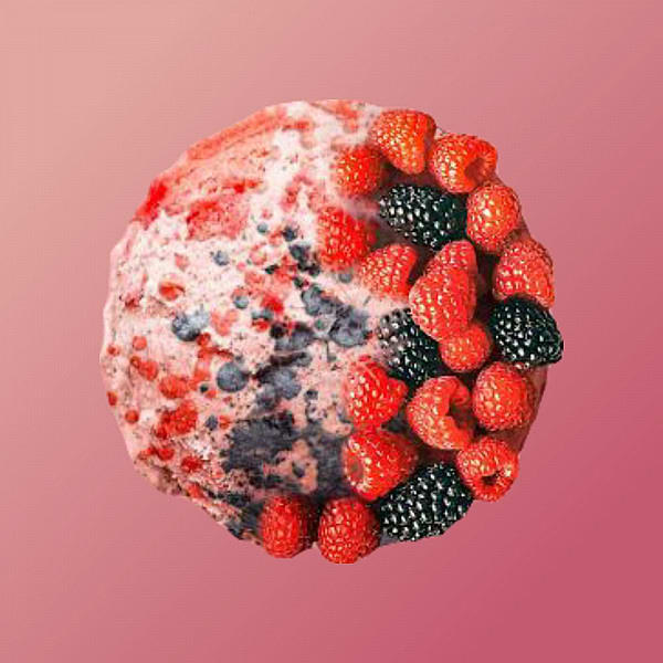 Conner Stone (The Super Premium Ice Cream)