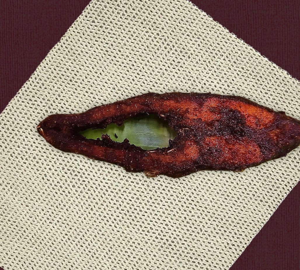 Maja Kadalmeengal Kadai