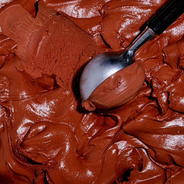 Frozen Fun - Gelato Ice Cream