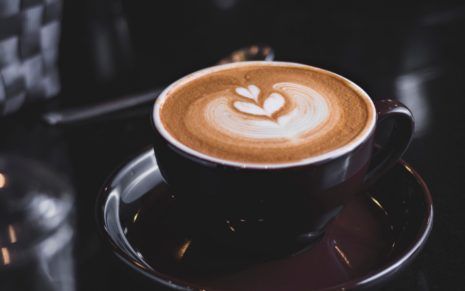 The Dolphino's Resort