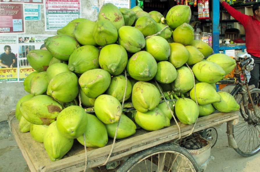 Mys Agro Food Products in Kuvempunagar,Mysore - Best Tender Coconut  Wholesalers in Mysore - Justdial