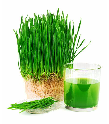 Wheat Grass With Apple (300ml)