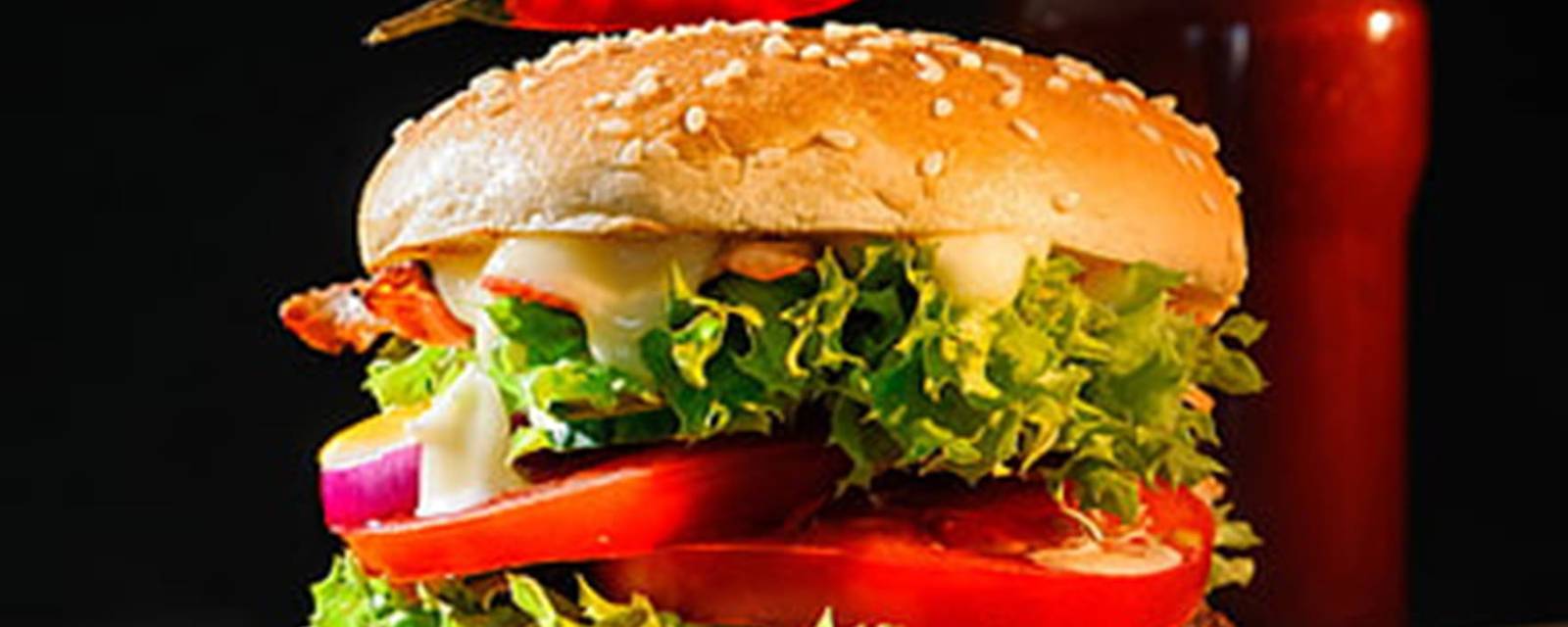 Burger Shurger cover