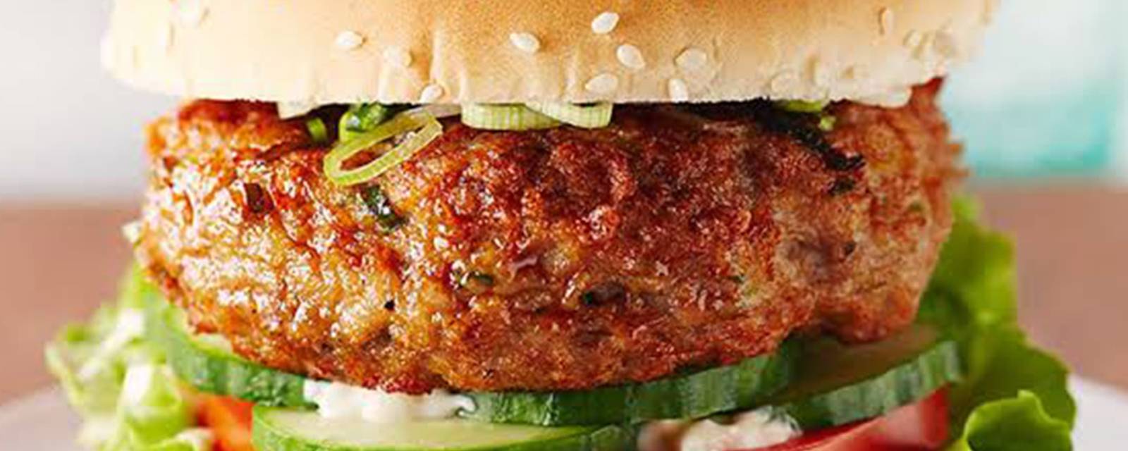 Burger Mentor cover