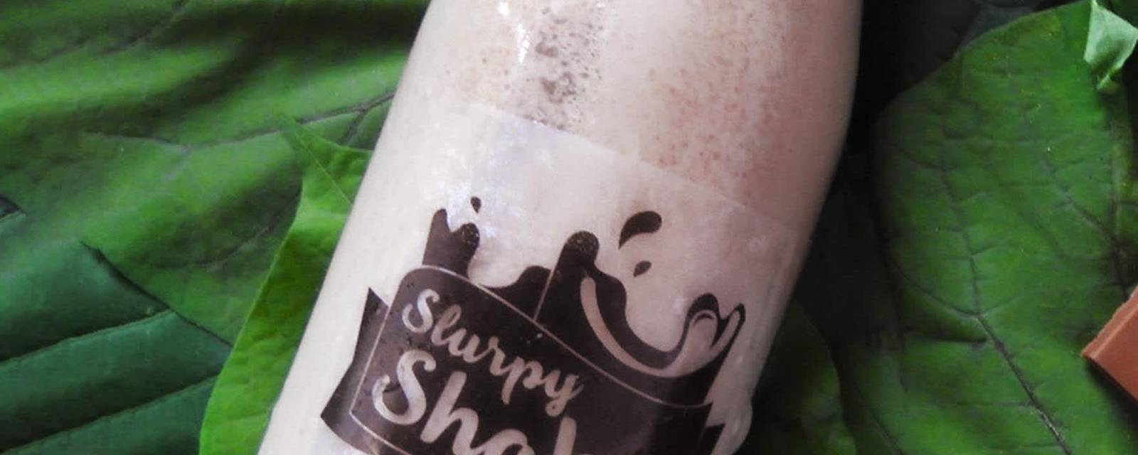 Slurpy Shakes cover