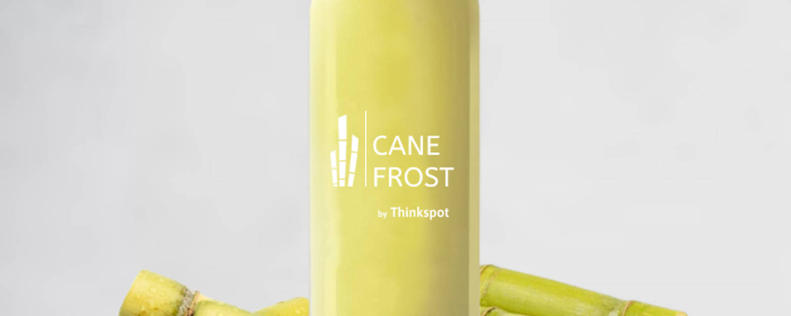 CANE FROST cover
