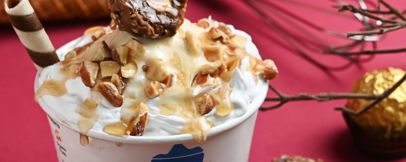 Iceberg Organic Icecreams cover