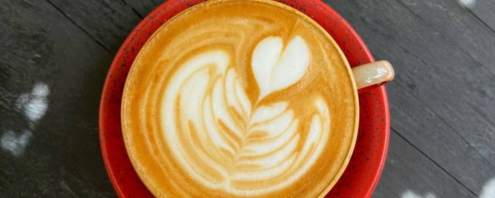 Cafe Quaint cover