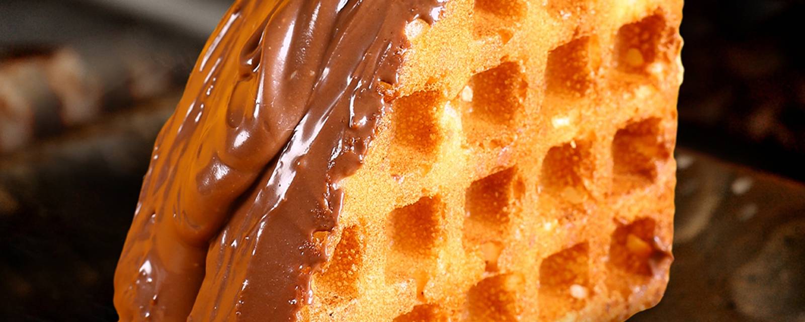 Waffle Castle cover
