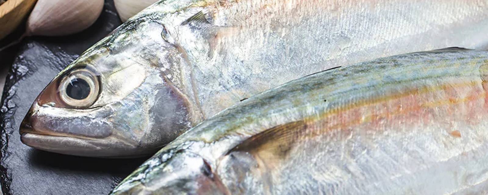 Fish Mongers cover