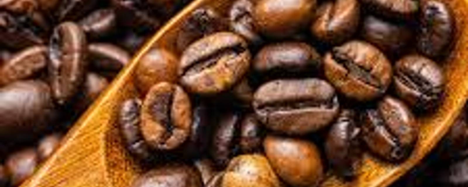 Coffea cover