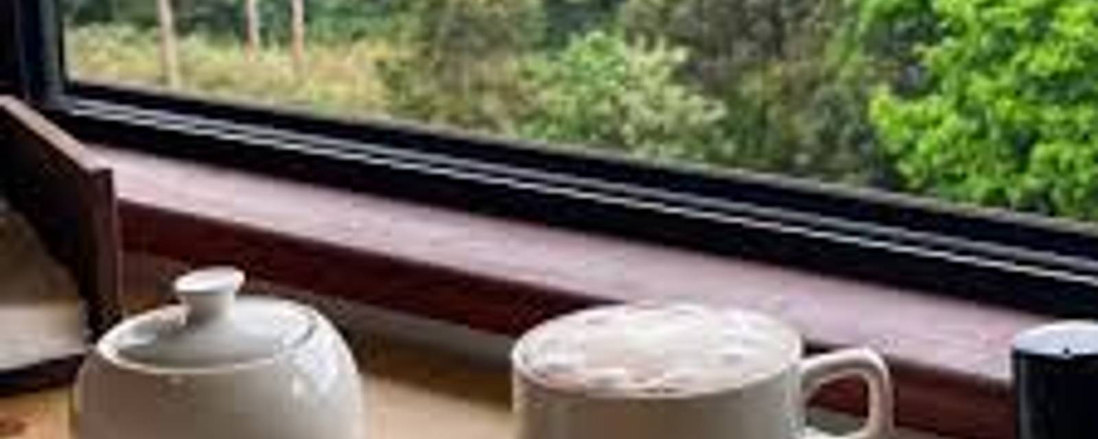 Tigos Cafe cover