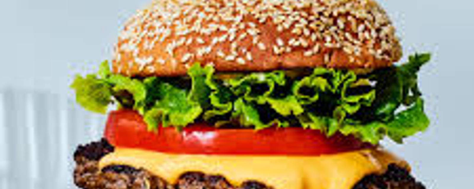 Food Zilla Fast Food And Cafe cover