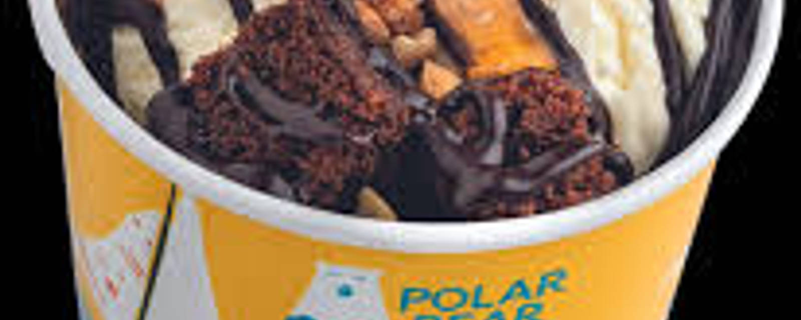 Polar bear cover