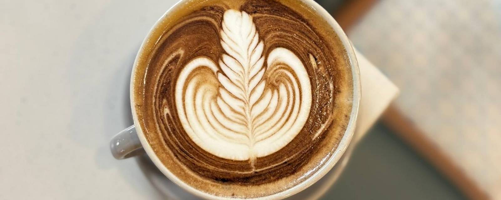 Asli Coffee Co. cover