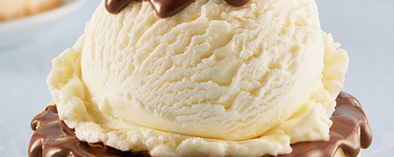 Baskin Robbins Ice Cream Desserts cover