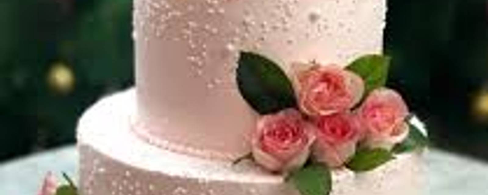 Bengalore Iyenger's Bakery cover