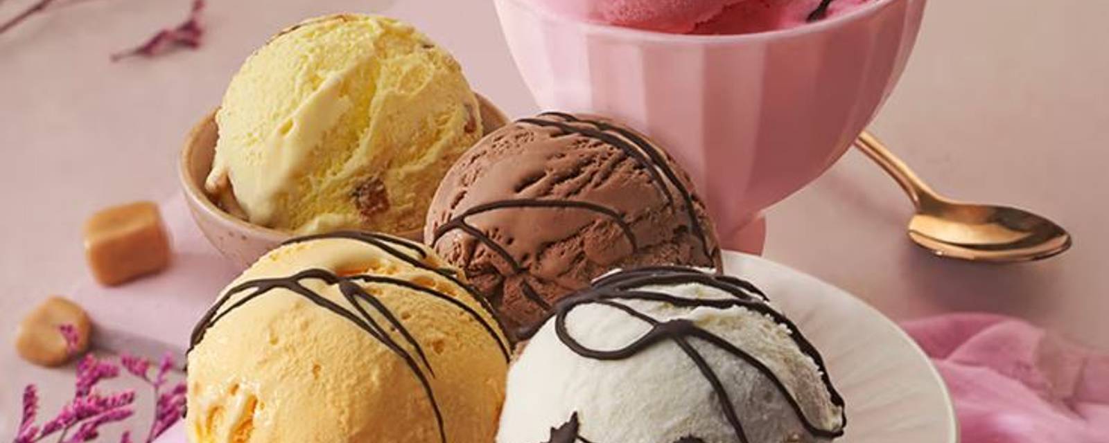 Anshu Frozen Delights And Ice Cream cover