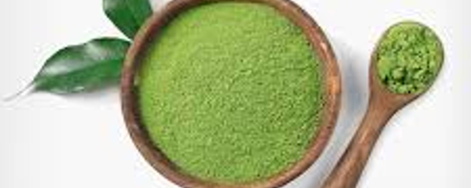 Camellia Sinensis cover