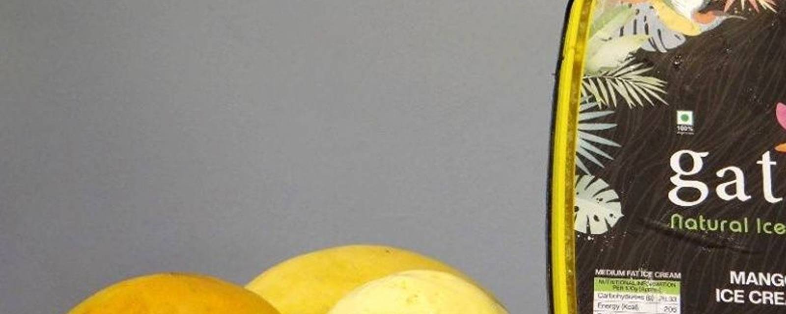 Gatox Natural Icecreams cover