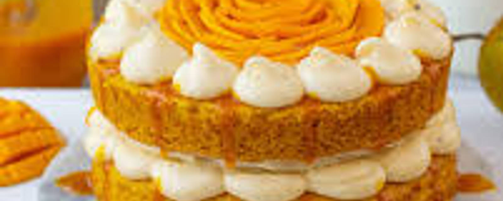 Aarya Bakers cover