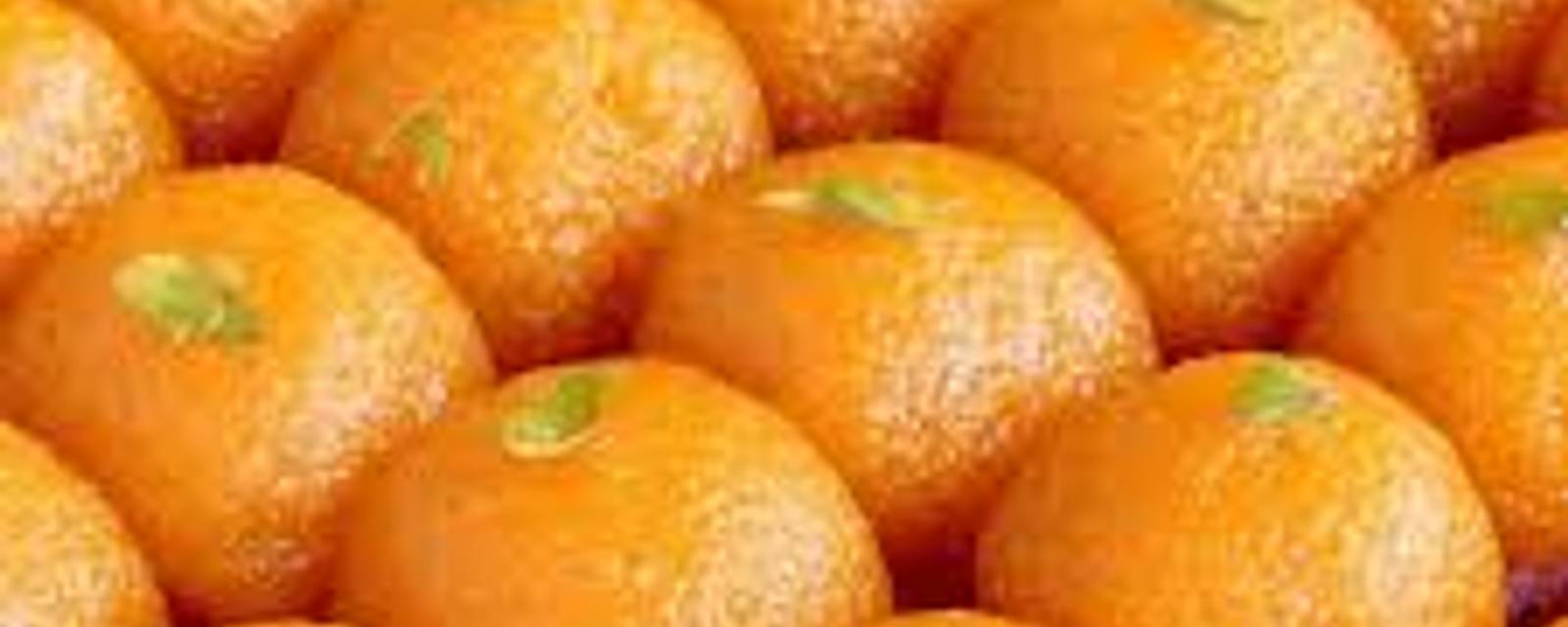 Shagun Sweets cover