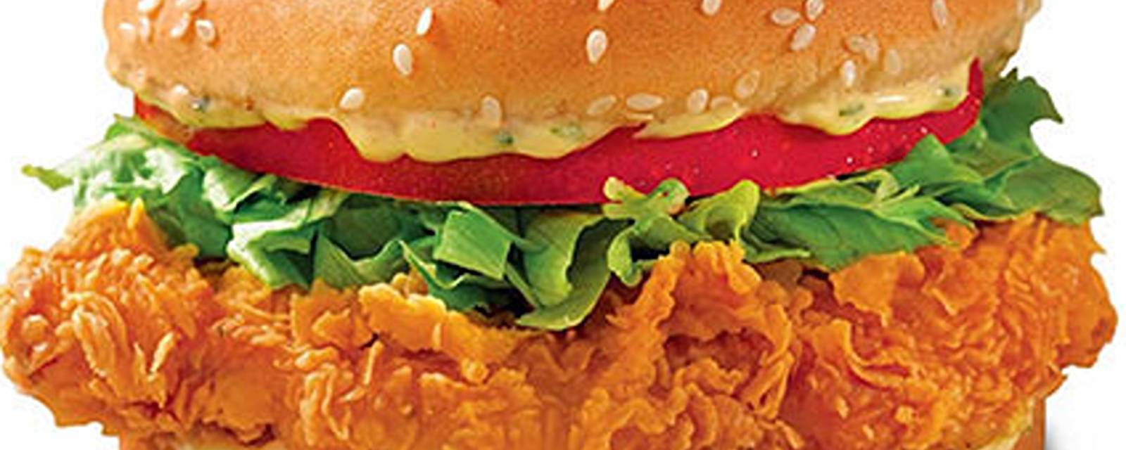 Niladri Burger N Chicken cover