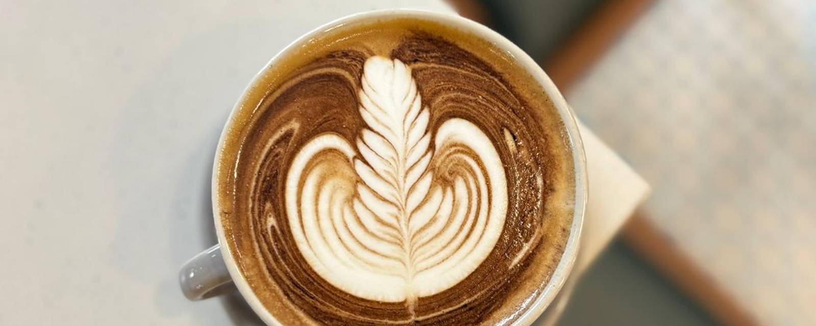 Asli Coffee Co. cover
