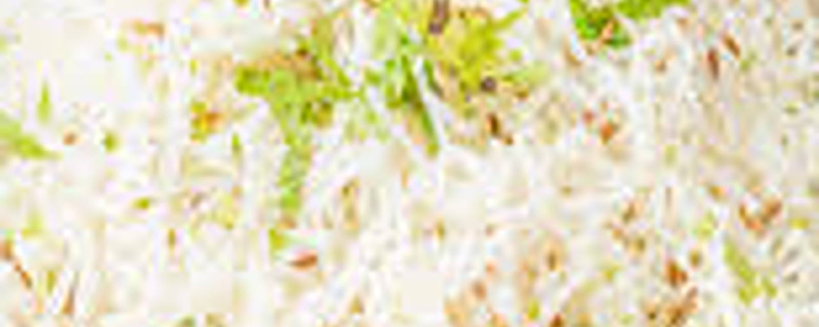 Akhal Cloud Kitchen cover