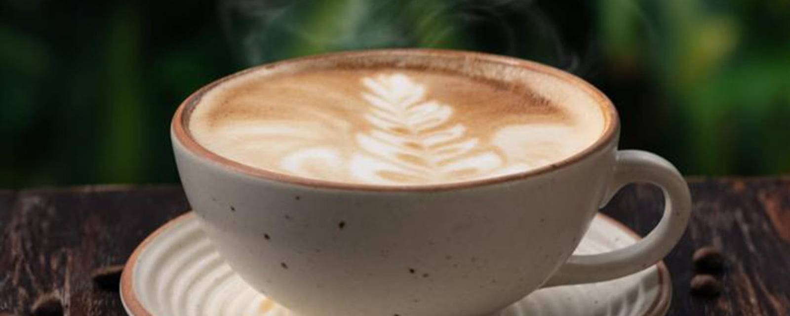 White Teak Coffee Roasters cover