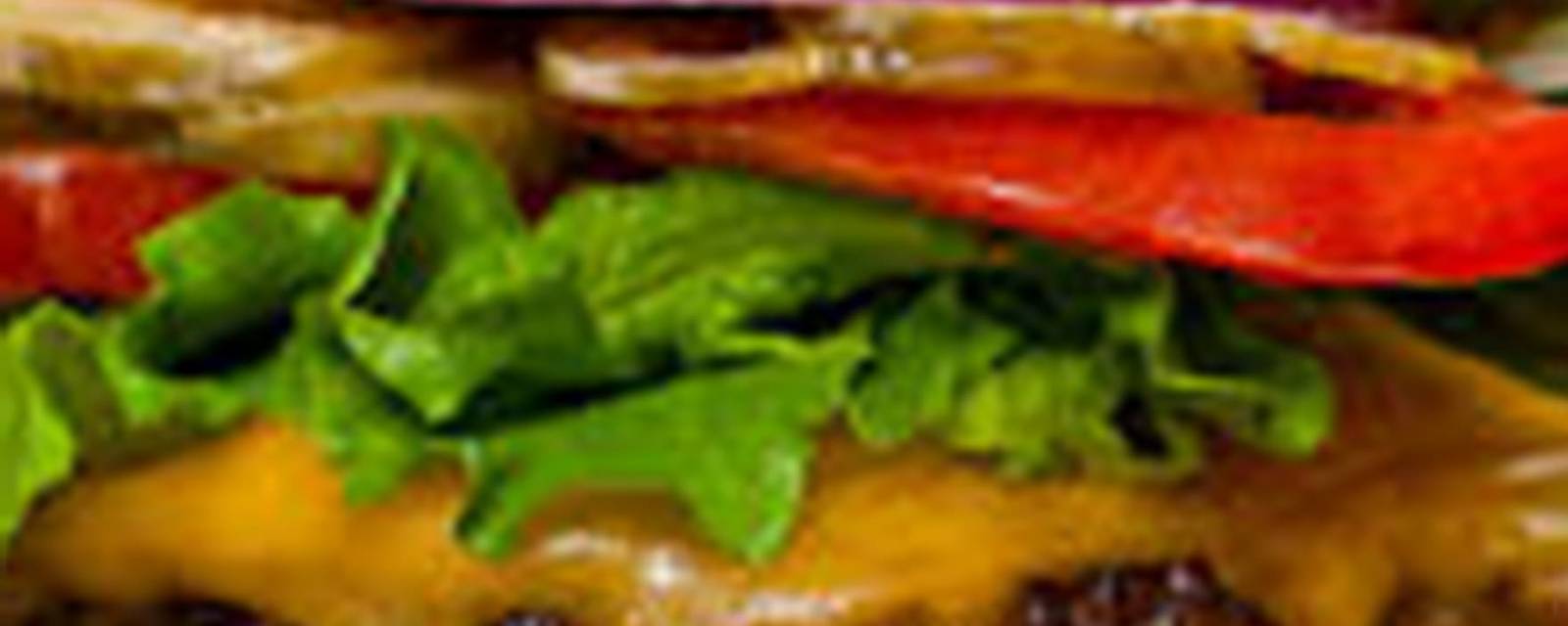 Jay Bhavani Vadapav And Fast Food cover
