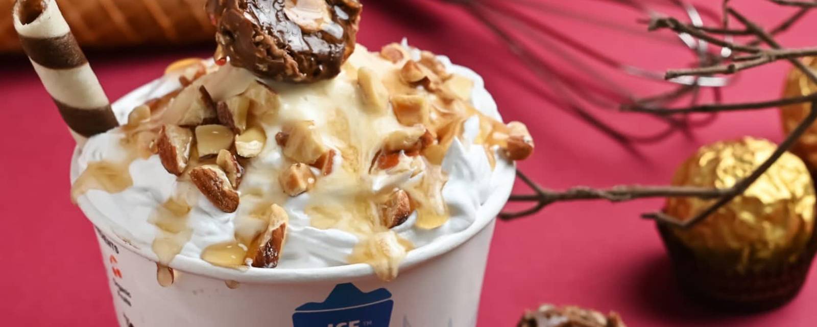 Iceberg Organic Icecreams cover