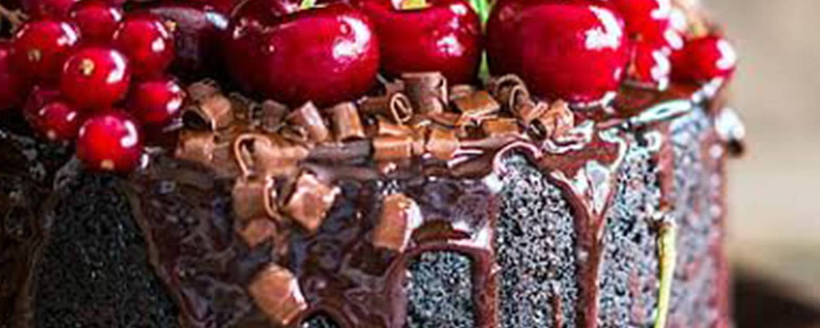 Baker's Treat cover