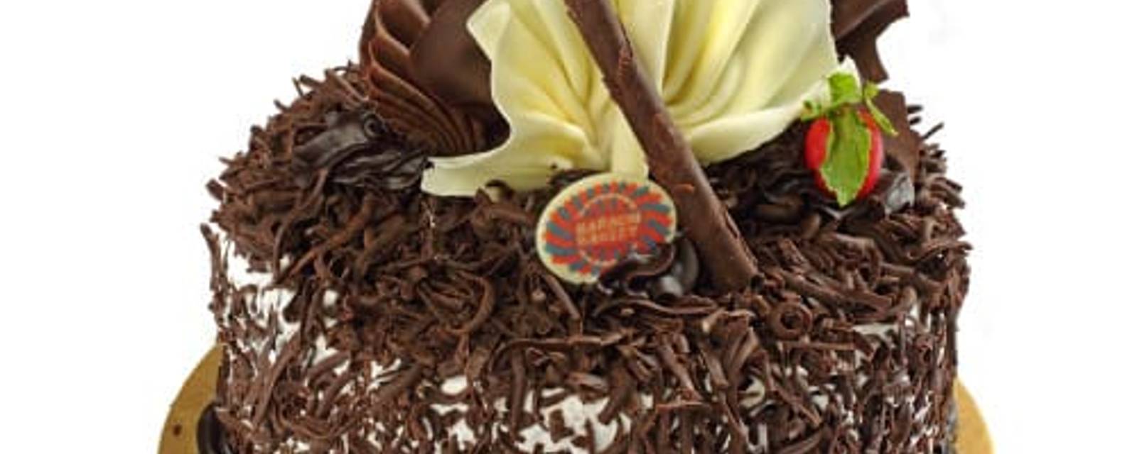 Cake Cricle cover