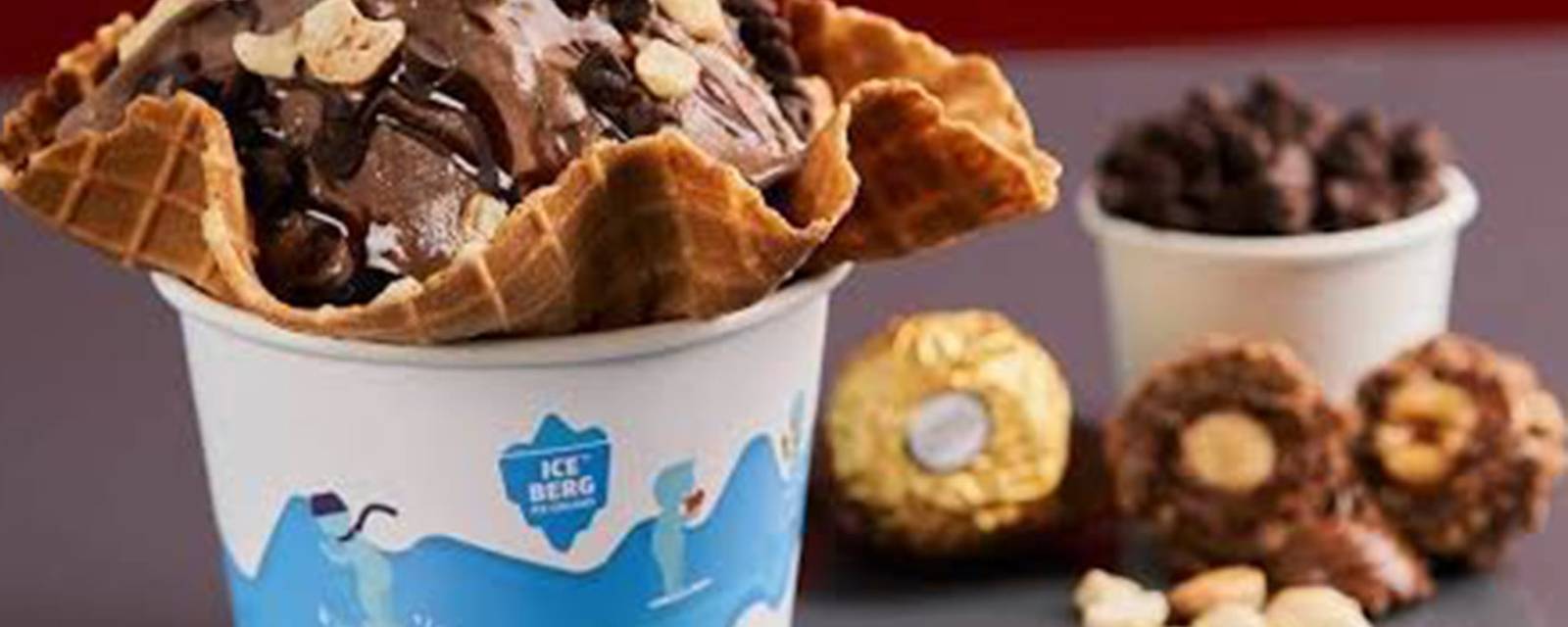 Iceberg Organic Icecreams cover