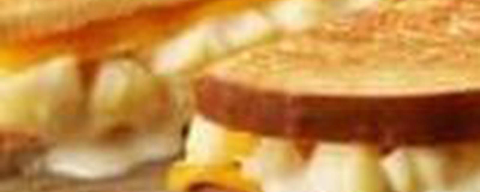 Zam Zam Sandwich cover