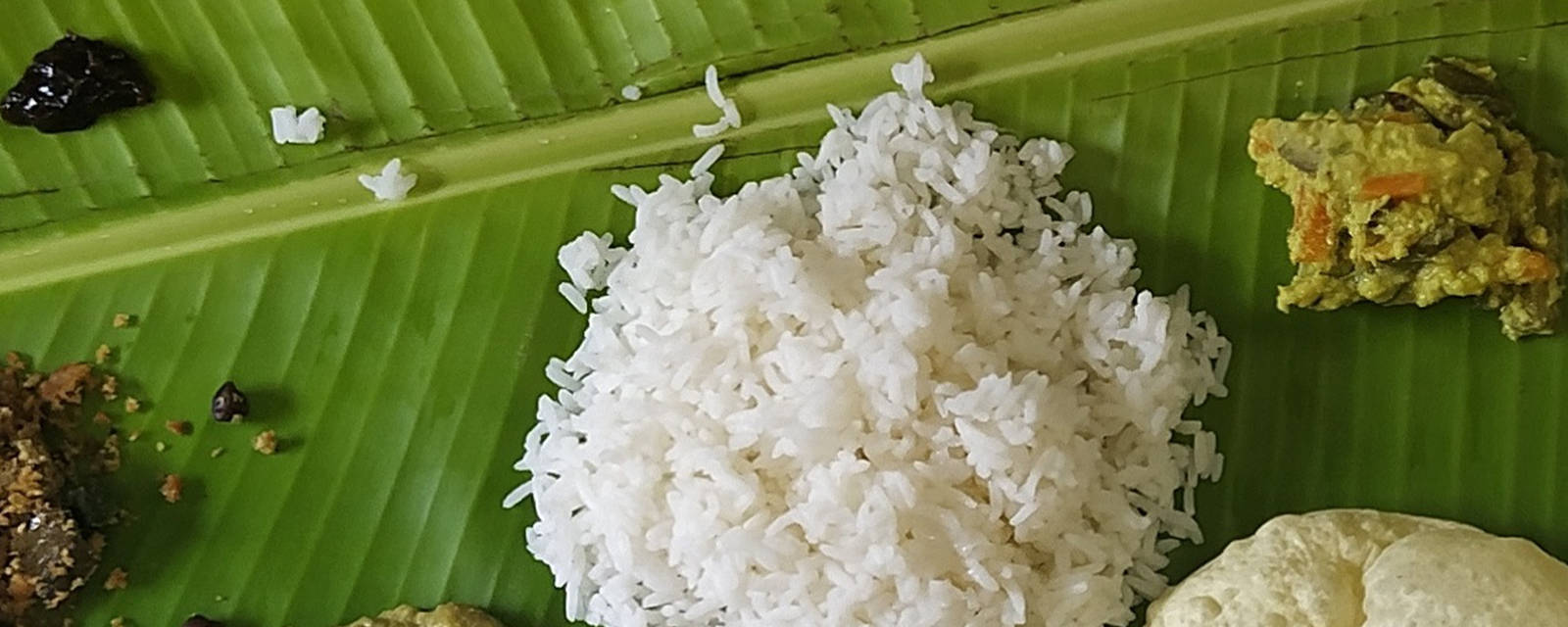 Nalabheema Paakashala cover