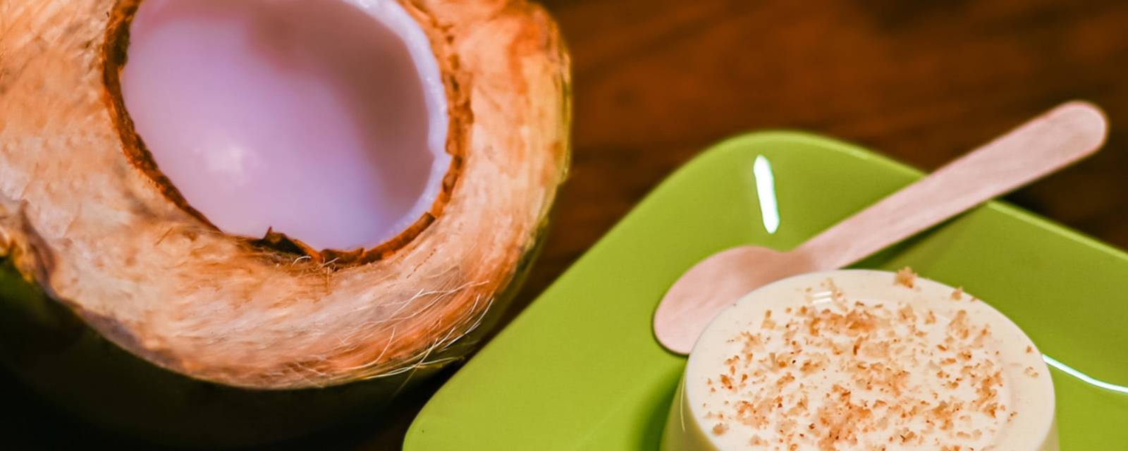 Tree Of Treats Tender Coconut Pudding cover