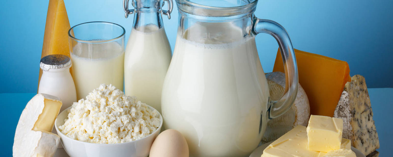 Shree Ambika Dairy Farm cover