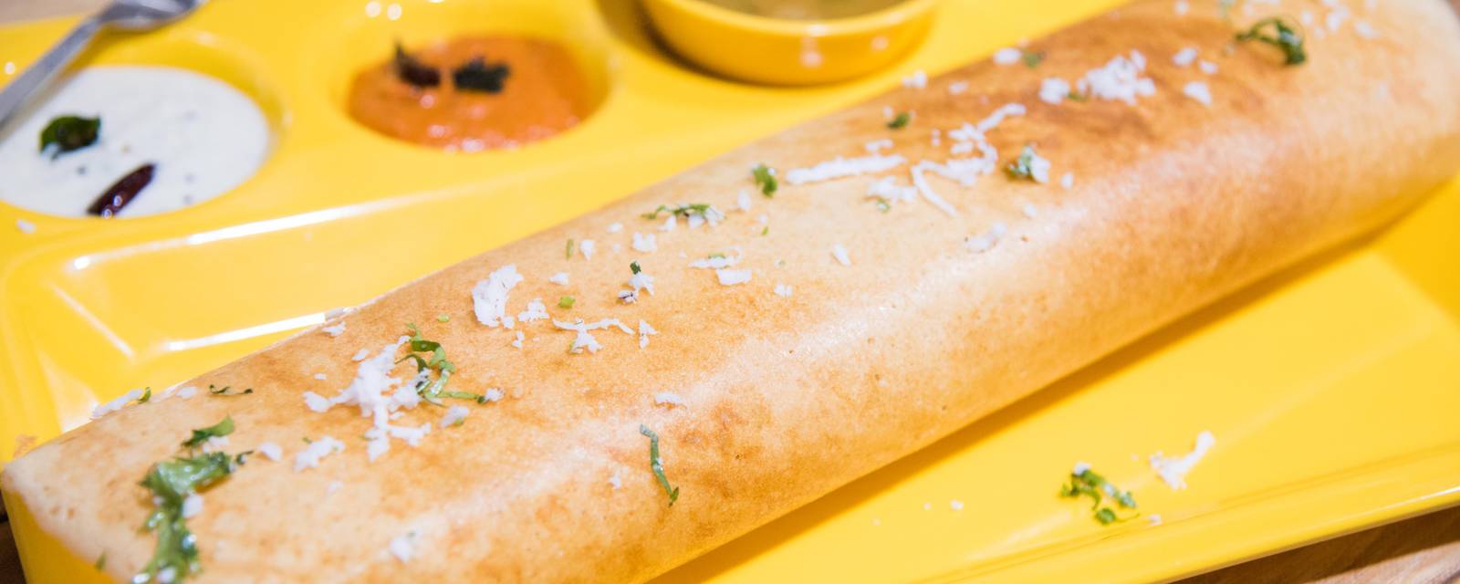DS Dosa Factory cover