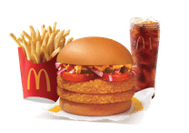 Mexican McAloo Tikki Double Patty Burger Combo
