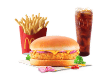 Veg Surprise Burger Combo
