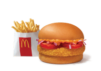 McAloo Tikki + Fries (R)