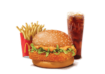 McSpicy Paneer Burger Combo