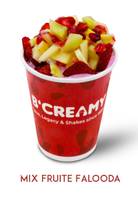 Mix Fruit Falooda