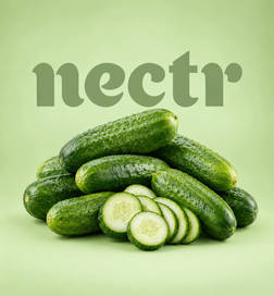 Snacky Cucumber