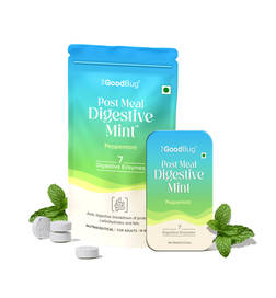 Post Meal Digestive Mint – Peppermint