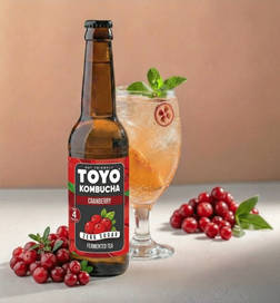 Zero Sugar Cranberry | Non-Alcoholic Fermented Tea