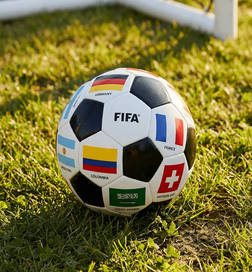 FIFA Multiflag Football (Size 5, Multicolour)