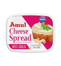 Spicy Garlic Cheese Spread